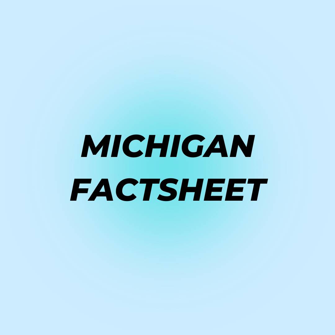 Michigan factsheet